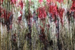 IMG_3224