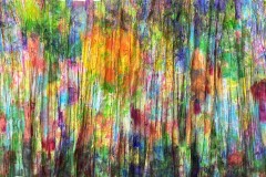IMG_5767