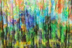 IMG_5866
