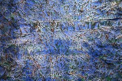 IMG_6566