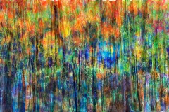 IMG_8296