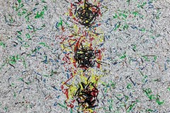 IMG_9629