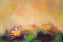 Sunrise over the Meadow
